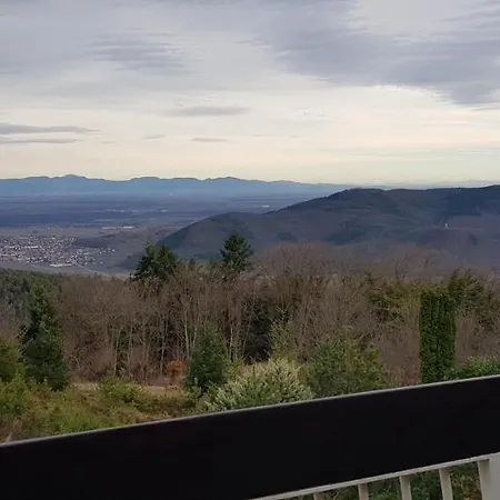 Apartment Avec Sauna Au Calme A 15 Min De Colmar