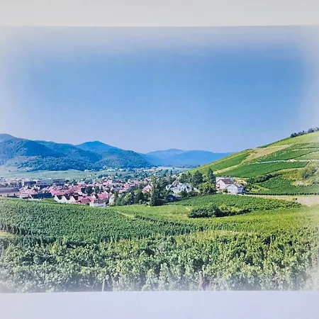 Lägenhet Panorama Cosy